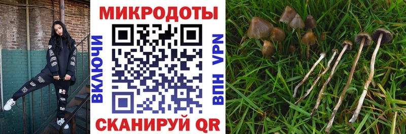 Галлюциногенные грибы мухоморы  Купить закладки  Азов 